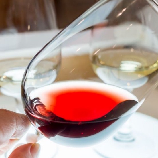 Degustazione vini II livello – I vini d’Italia