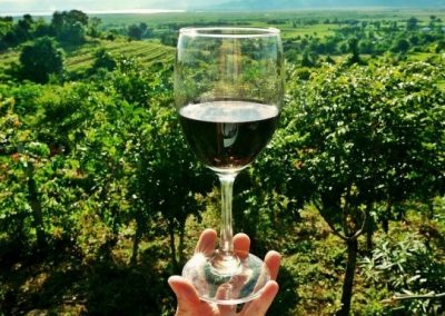 Degustazione Vini: Pinot Nero